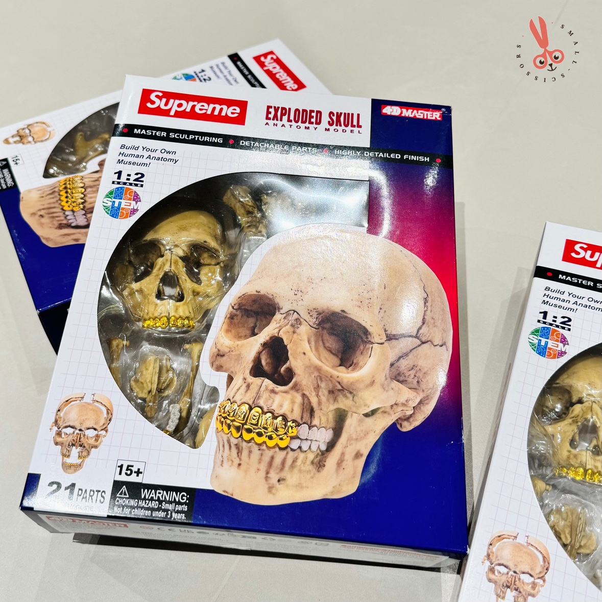 Supreme 4D Model Human Skull 開封済 Supreme®️4D Model Human
