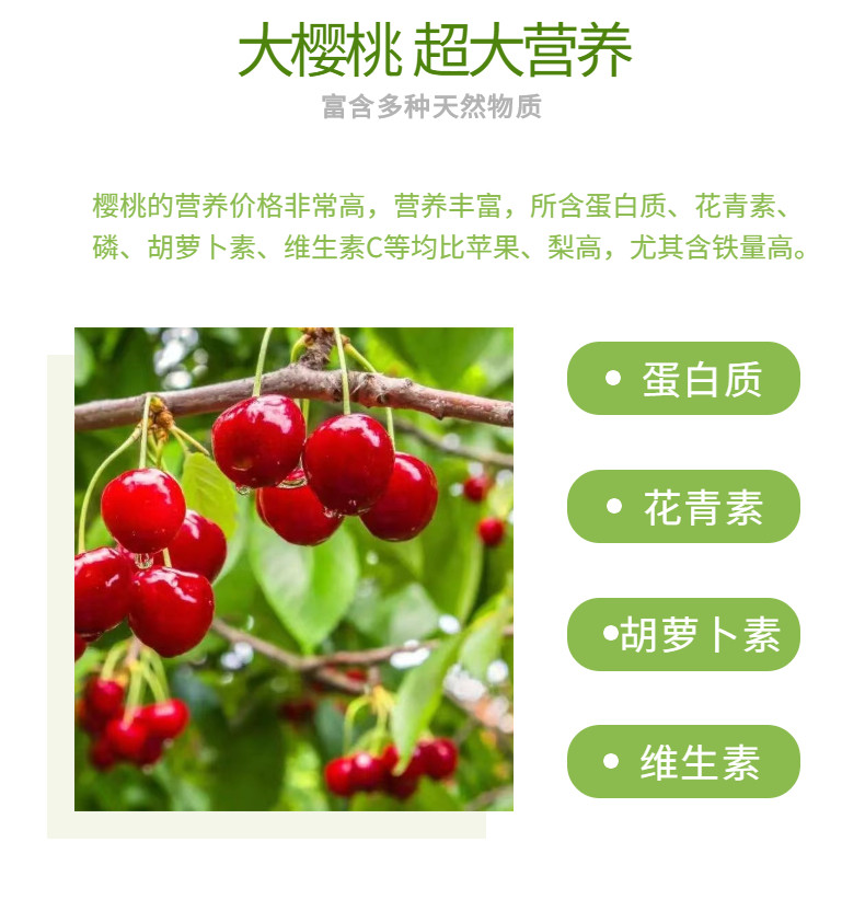 现货冷链速发 山东红灯已验货大樱桃3斤 图3