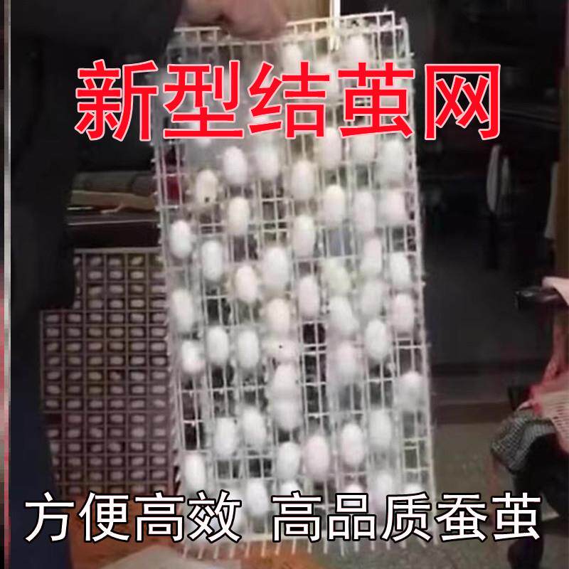 25年必买！结蚕网养蚕方格簇吐丝养殖神器，新手也能轻松上手-蚕宝宝