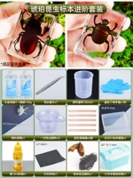 Набор хрустального клея [образцы янтарных насекомых]