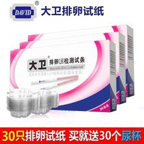 David LH Female Woman Ovulation Detection Test Strips 10-10 Urine Cups Disposable with a simple and convenient self-check