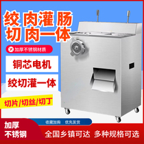 Danyuan cutting machine commercial multi-functional stainless steel meat grinder slicing and shredding machine sausage cutting machine three uses