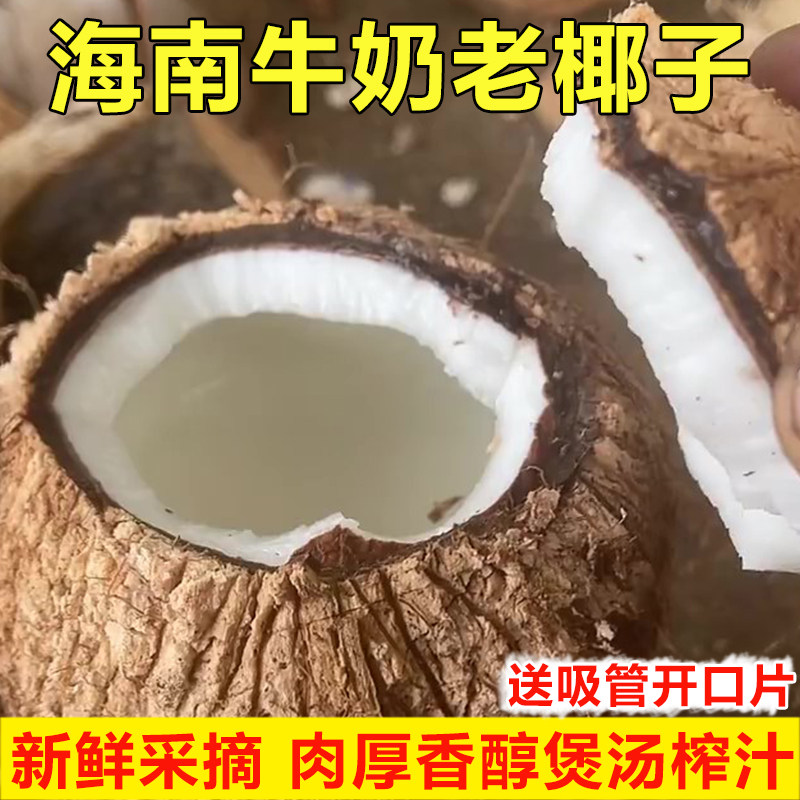 海南新鲜椰宝4个装当季水果!孕妇也能吃的天然椰皇,解渴又养颜?-椰青-淘宝百科网