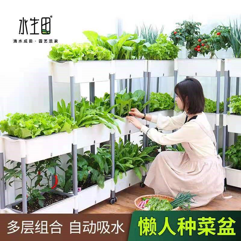 Balcony vegetable special box shelf indoor family balcony rack multi-layer tool home roof family vegetable artifact
