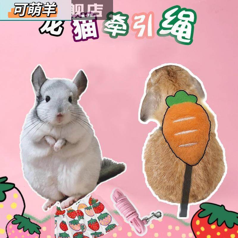 Dragon cat traction rope out of pet walking dedicated rope for Dutch pig hog hog hog rabbit