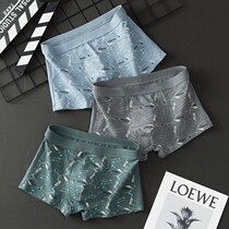 Total Cotton Age Underwear Mens Four Corners Personality Teenagers Bottom Pants Comfort Loose Breathable Pants Underpants All Cotton Flat Corner Pants Head