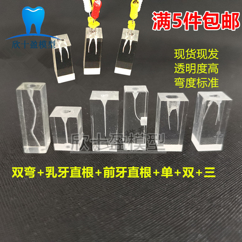 牙科树脂根管练习块透明髓腔模型 供机扩预备充填训练