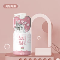 Общего назначения для американских коротких волос.