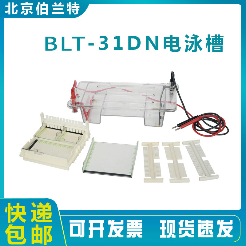 伯兰特水平电泳槽31DN电泳槽通用DYCP--31DN电泳槽DNA/RNA