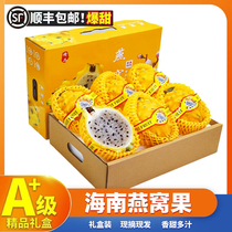 Hainan fresh birds nest fruit unicorn fruit seasonal nutritional fruit for pregnant women fire unicorn large fruit high-end gift box