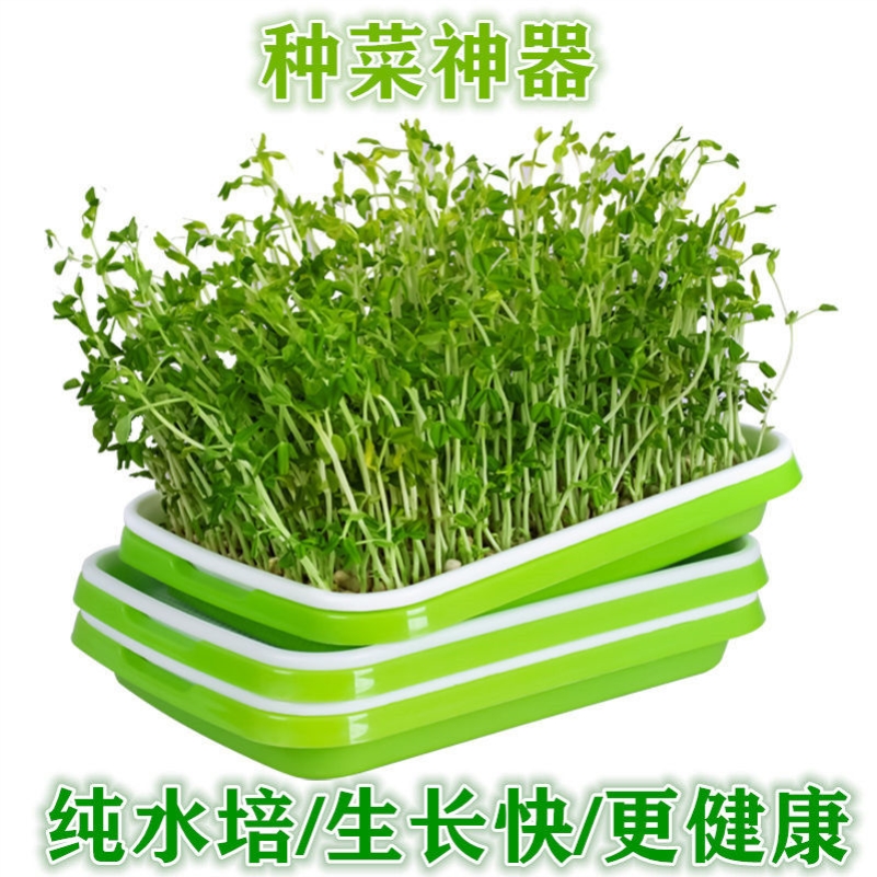 Sprout vegetable seedling plate bean sprout planting plate encrypted bean seedling plate soilless cultivation hydroponic germination pot