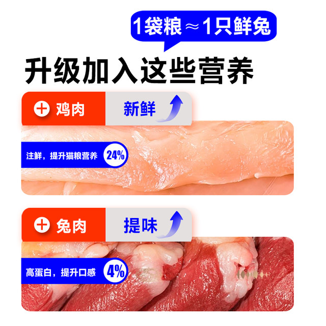 Cat Enjoy Cat Food for Adults and Young Cats Full Price Freeze-Dried Probiotics Rabbit Meat Squab Pigeon 10 Jin Fattening Hairy Cheeks Stray 500g ການທົດລອງ