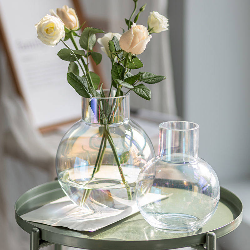 Hydroponic tulip utensils flower pot flower pot decoration living room glass ins wind succulent size flower pot high sense