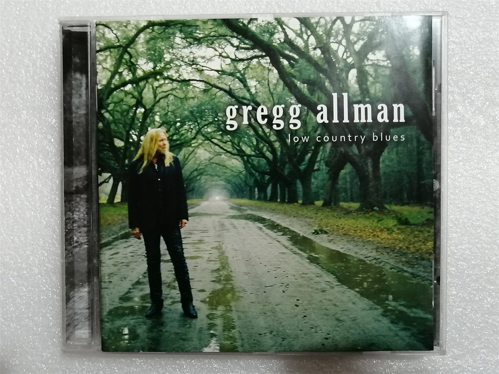 Gregg Allman Low Country Blues O версия разбирает только L6 Изображение 1
