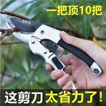Germany imported labor-saving pulley shears pruning scissors fruit branches thick branches garden shears flower art flower repair flower picking fruit household shears