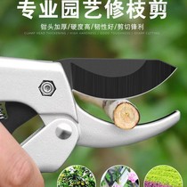 German Import Clippings Scissors Prunes Prunes Prunes Prunes Prunes Prunes Prunes Of Trees Flowers Cut Orchards Home Strong Gardening