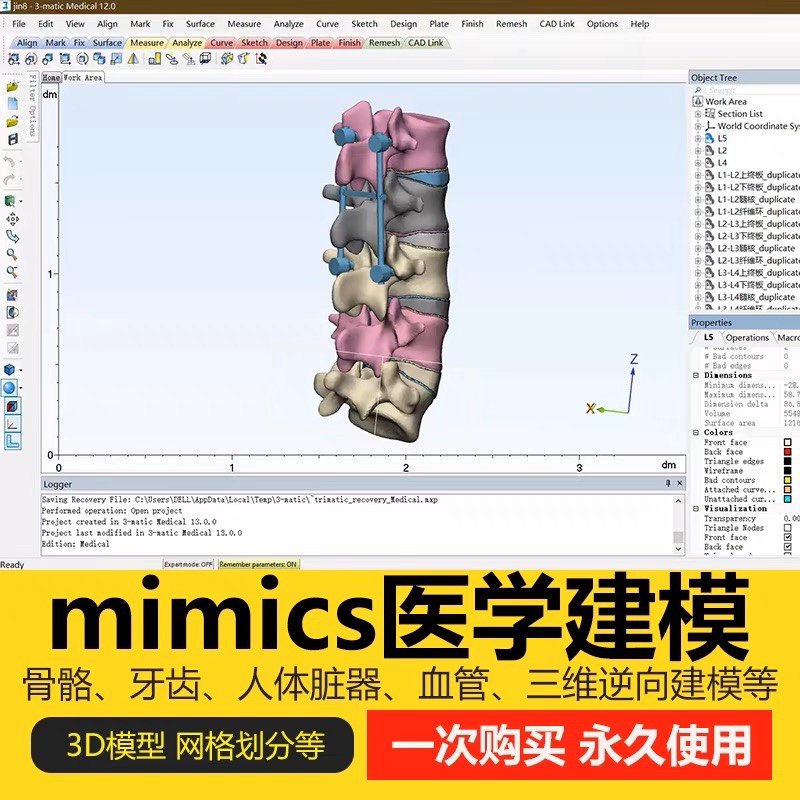 Mimics17 20 21 Software full-pack installation Magics with mimics 3-matic Medical scientific research Modeling-Taobao