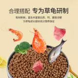Китайская черепаха с черепахой кормил малые черепахие чернила черепаха молодая черепаха Универсальное полуотер зерно зерно