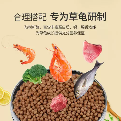 Китайская черепаха с черепахой кормил малые черепахие чернила черепаха молодая черепаха Универсальное полуотер зерно зерно