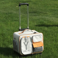 06-rolling radio-щит-повязка Bear-Beige One Pack четырехцелевой 18 фунтов.