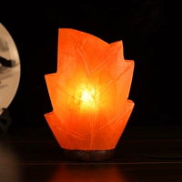 Листья деньги