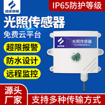 Sennuo IoT High-precision Light Sensor Agricultural Greenhouse Monitoring Temperature and Humidity Light Intensity Transmitter Illumination