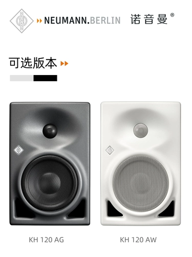 Neumann Norin Manman KH120A студия звукозаписи с активным спикером Professional Hifi Fever Import Import