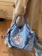 Large-Capacity Donut Canvas Bag for Women, New Embroidered Eco-Friendly Shopping Bag, Casual, Fashionable and Versatile Commuter Tote Bag