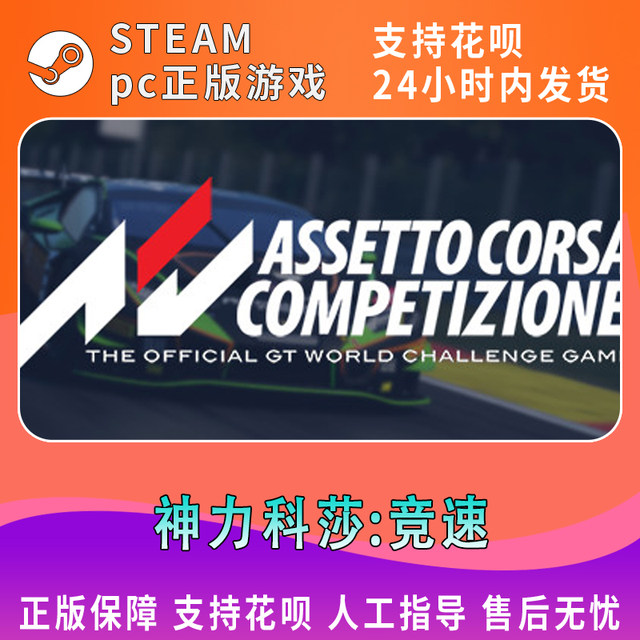 Pc Chinese Version Steam Platform China Region Online Game Assetto Corsa Competizione Assetto Corsa Competition Competitive Edition All Dlcs