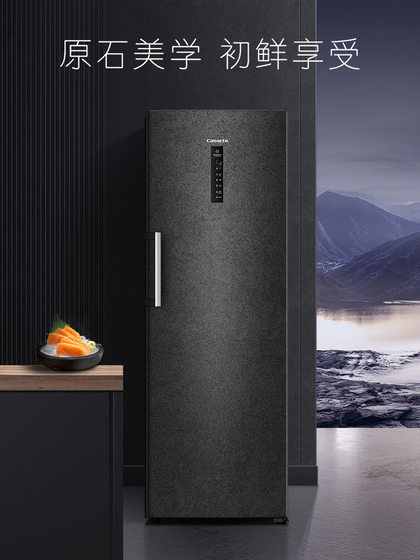 Casarte/卡萨帝285升无霜立式冰柜大容量冷柜囤货冷藏冷冻小冰箱