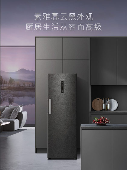 Casarte/卡萨帝285升无霜立式冰柜大容量冷柜囤货冷藏冷冻小冰箱