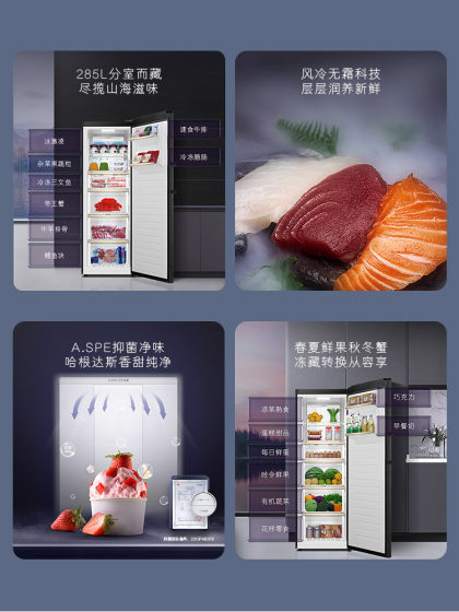 Casarte/卡萨帝285升无霜立式冰柜大容量冷柜囤货冷藏冷冻小冰箱