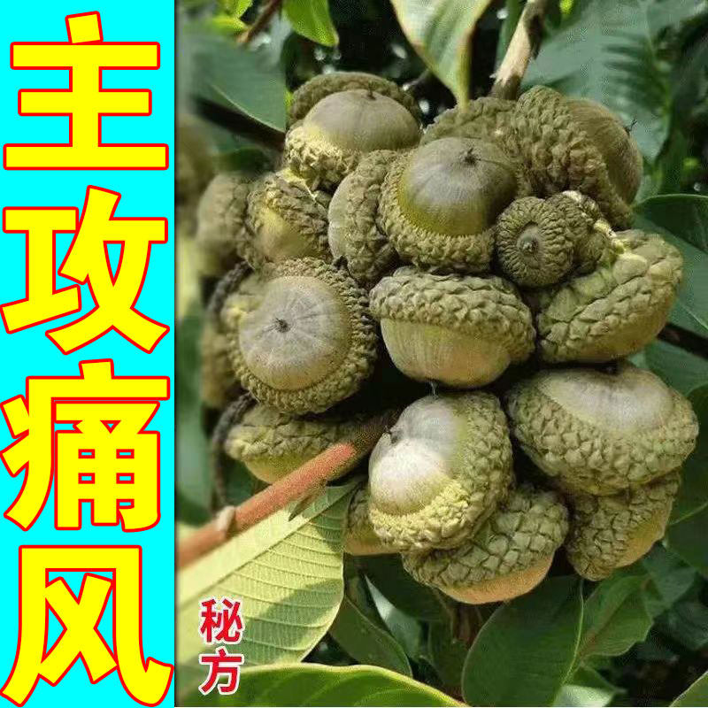 (My friends, my gout is cured) Cure gout, reduce uric acid, eliminate crystals, red, swollen and painful thumb YZ