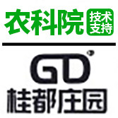 桂都旗舰店的LOGO