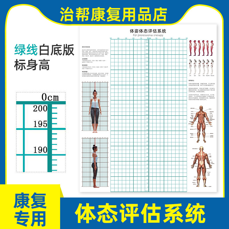 体态评估表墙纸贴式体测健身房瑜伽馆私教身体形姿矫正网格对比图