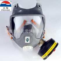 9800F labor protection products supply Yile brand small can gas mask manufacturer supplies full face mask multi-functional mask