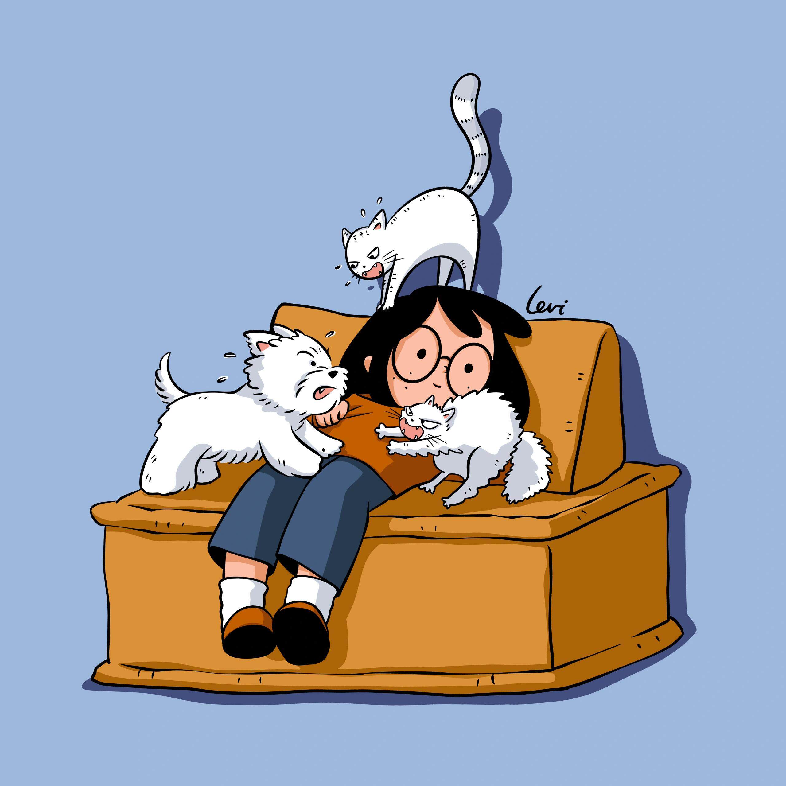 猫仨狗四