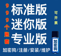 kis financial software professional version standard version mini version small and medium-sized enterprises personal agency accounting lifetime use with