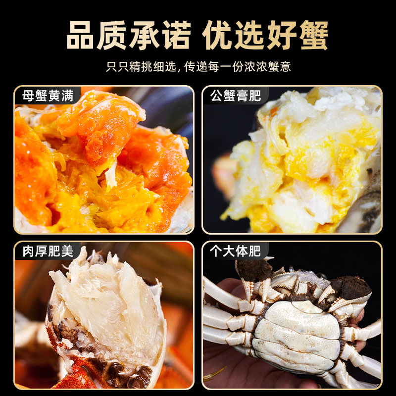 阳澄湖红膏大闸蟹太绝了！鲜活到爆！公母都有，吃货必冲！
