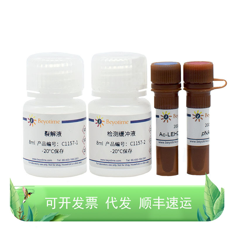Caspase 9 活性检测试剂盒