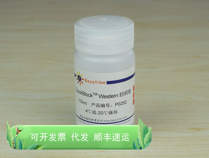 QuickBlock?? Western封闭液 P0252 碧云天生物 Beyotime