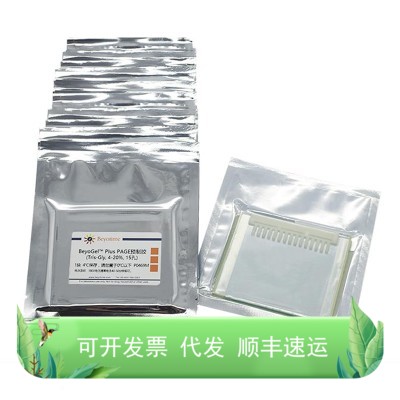 BeyoGel? Plus PAGE预制胶(Tris-Gly, 4-20%, 15孔