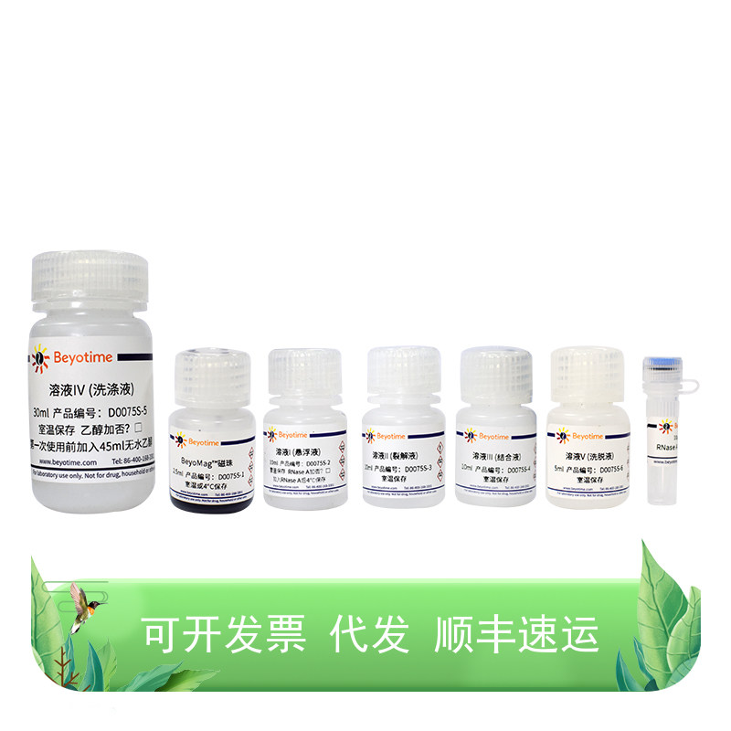 BeyoMag?磁珠法质粒小量抽提试剂盒