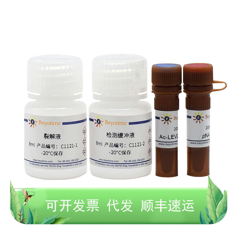 Caspase 4 活性检测试剂盒