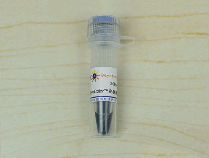 BeyoColor?彩色预染蛋白分子量标准(10-170kD) 碧云天生物