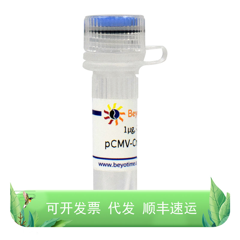 pCMV-Cre-mCherry核酸相关菌种与质粒基因表达质粒pCMV-Cre-EGFP