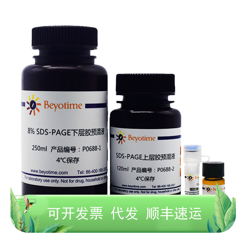 8% SDS-PAGE凝胶超快速配制试剂盒