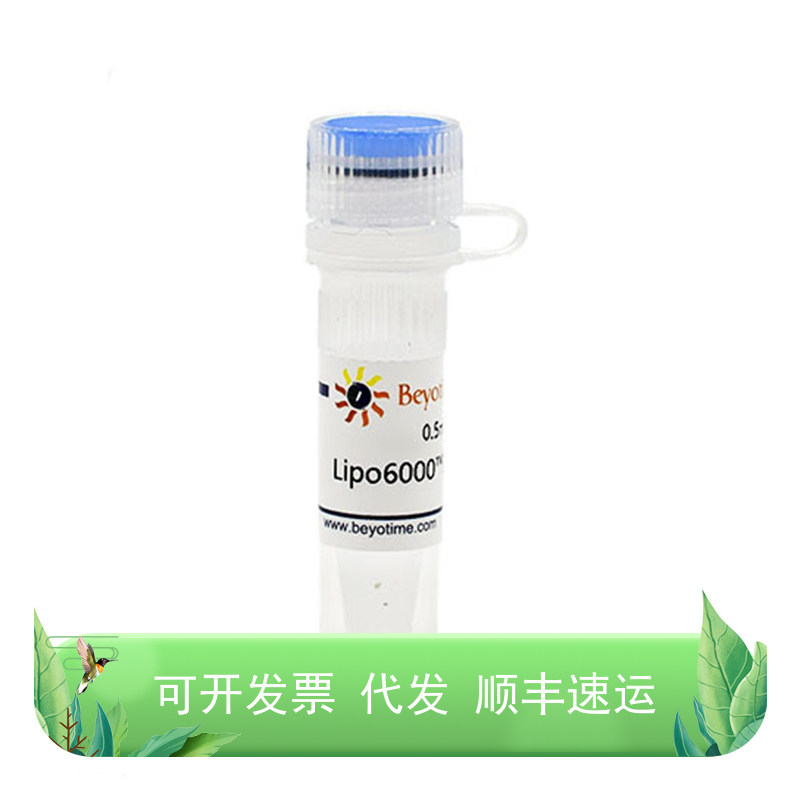 Lipo6000?转染试剂0.1ml0.5ml1.5ml7.5ml试用小包碧云天生物
