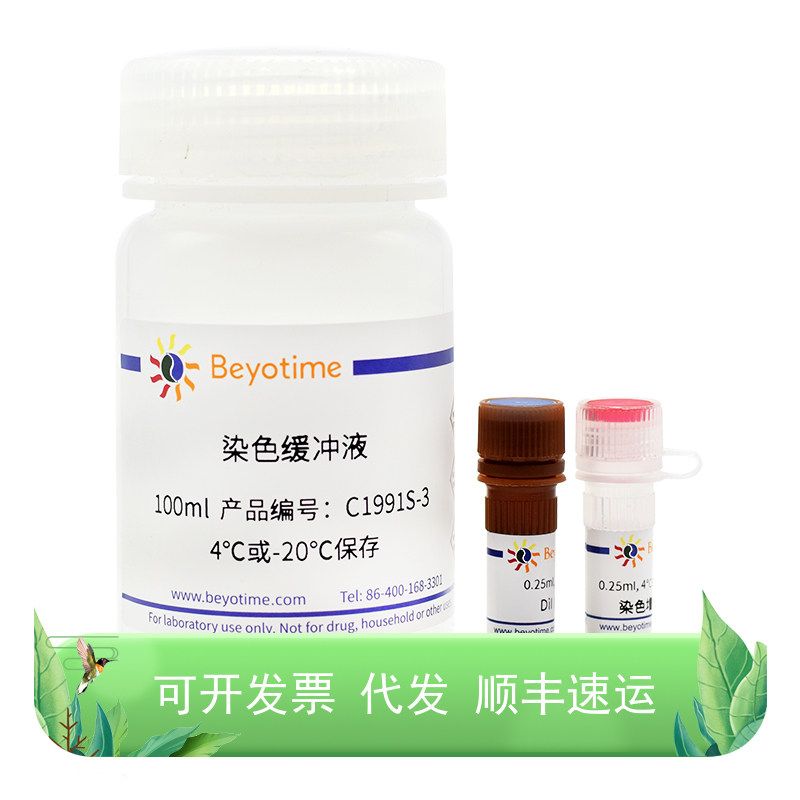 细胞膜红色荧光染色试剂盒(DiI)