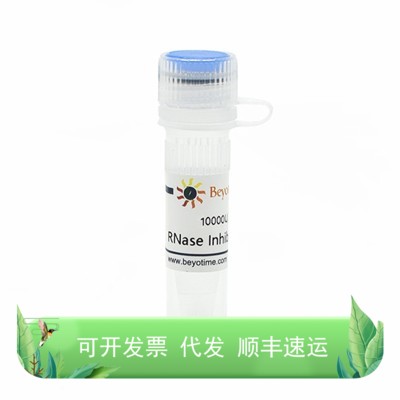 RNase Inhibitor